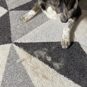 Pet Hair Removal Gloves™